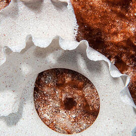 Egg Case by Jean Noren