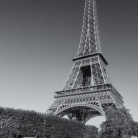 Eiffel Tower in Spring III by Clarence Holmes