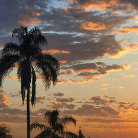 ellery sunrise by Joe Schofield