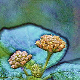 Emerald Stamped Floret by Bill and Linda Tiepelman