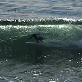 Enclosed by Joe Schofield