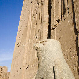 Falcon Statue at Edfu by Darcy Michaelchuk