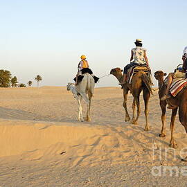 Family riding three camels in desert by Sami Sarkis Photography