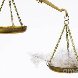 Feather on weighing scales by Sami Sarkis Photography