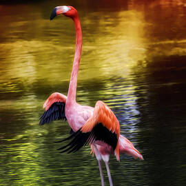 Flamingo Flow by Bill and Linda Tiepelman