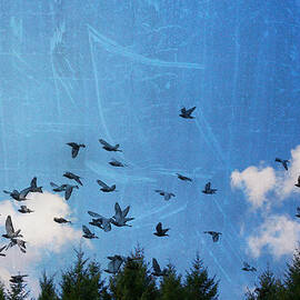 Fly Away by Georgia Clare