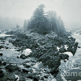 Fork In The Fog by Duluth To Door County Photography