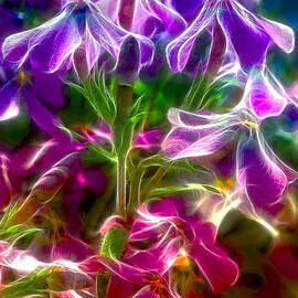 Ghosting Blooms by Bill and Linda Tiepelman