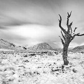Glencoe winter by Grant Glendinning
