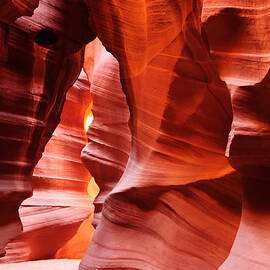 Gods Cathedral by Louis Dallara