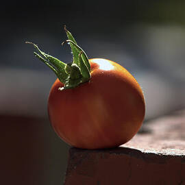 Hang On by Joe Schofield