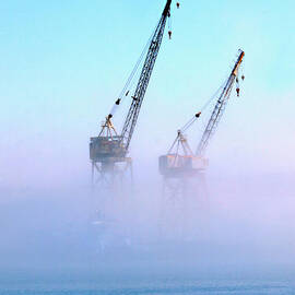 Harbor Fog with Cranes by Joe Schofield