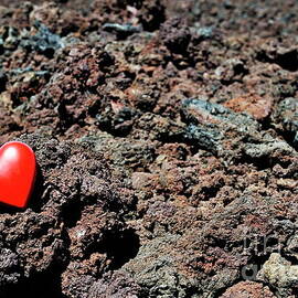 Heartshape on cold lava rocks by Sami Sarkis Photography