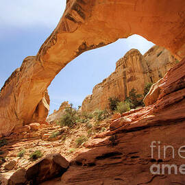 Hickman Bridge by Adam Jewell