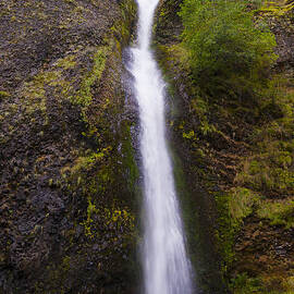 Horsetail Falls Oregon by Darcy Michaelchuk