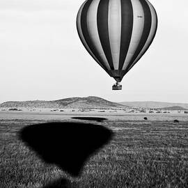 Hot Air Balloon Shadows by Darcy Michaelchuk