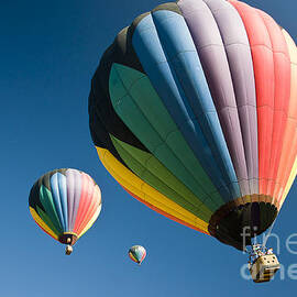 Hot Air Balloons Ascend by Darcy Michaelchuk