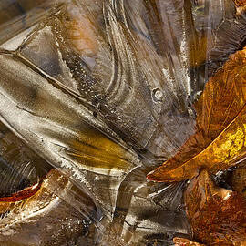 Ice is nice by Jean Noren