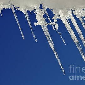 Icicles on blue sky by Sami Sarkis Photography