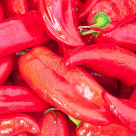 Jalapenos by Tom Gowanlock