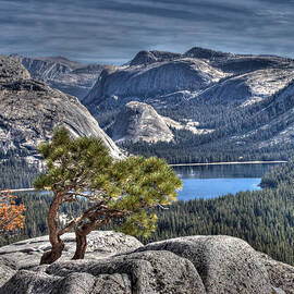 Lake Tenaya from Olmsted Point by Joe Schofield