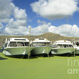 Lake Titicaca Boat Harbor by Darcy Michaelchuk
