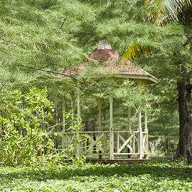 Last Night's Dream by Georgia Clare