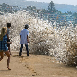Learn to Swim  by Joe Schofield