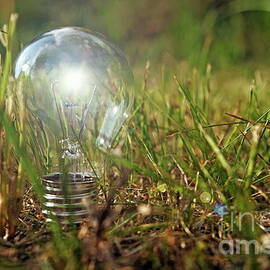 Lit bulb on grass by Sami Sarkis Photography