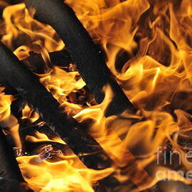 Log fire and flames by Sami Sarkis Photography