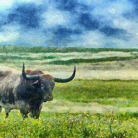 Longhorn Prarie by Jeffrey Kolker
