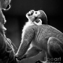 Look Up by Darcy Michaelchuk