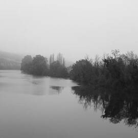 Lot in the mist by Georgia Clare