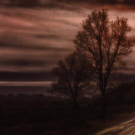 Lunar Light Turn by Bill and Linda Tiepelman