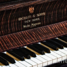 Mehlin and Sons Piano by Susan Candelario