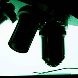 Microscope lenses by Sami Sarkis Photography