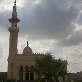 Mosque outside Alexandria by Darcy Michaelchuk