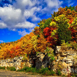 Nature's Arbor Bouquet by Duluth To Door County Photography