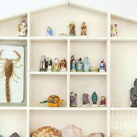 Neat display by Sami Sarkis Photography