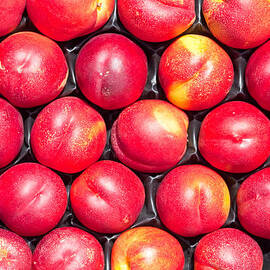 Nectarines by Tom Gowanlock