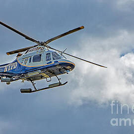 NYPD by Susan Candelario