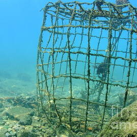 Old fishing cage underwater by Sami Sarkis Photography