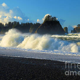 Olympic Crash by Adam Jewell