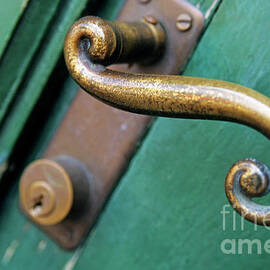 Ornate handle on green door by Sami Sarkis Photography