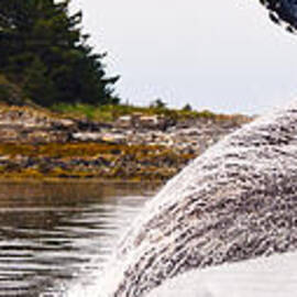 Panoramic Big Breach by Darcy Michaelchuk