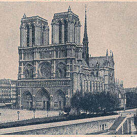 Paris - Notre Dame by Georgia Clare