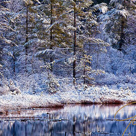 Penomah Bog First Snow by Jeff Sinon