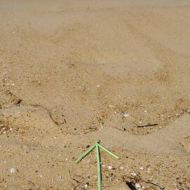 Plastic arrow on beach by water's edge by Sami Sarkis Photography