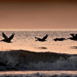 Predawn Formation by Steven Sparks