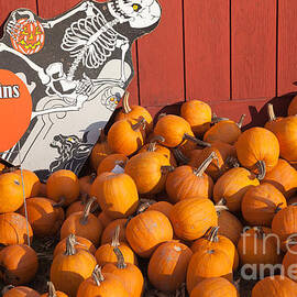 Pumpkins for Sale I by Clarence Holmes